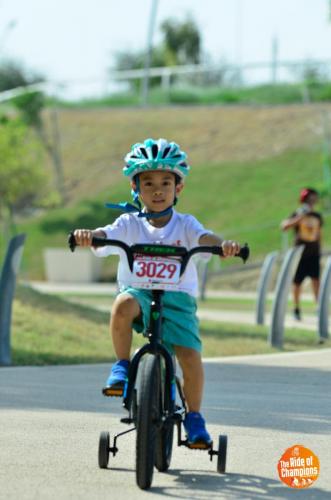 ROCDoha2017- RCD0517